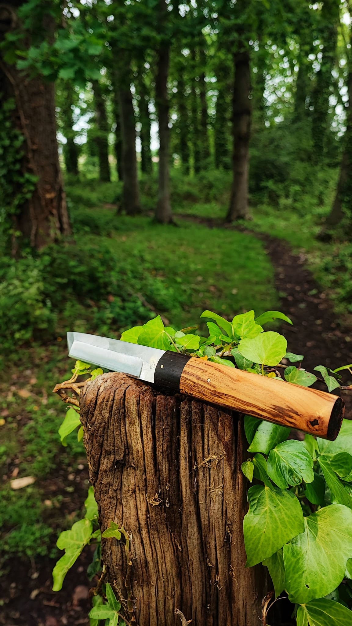 FAQ et entretien de couteaux artisanaux